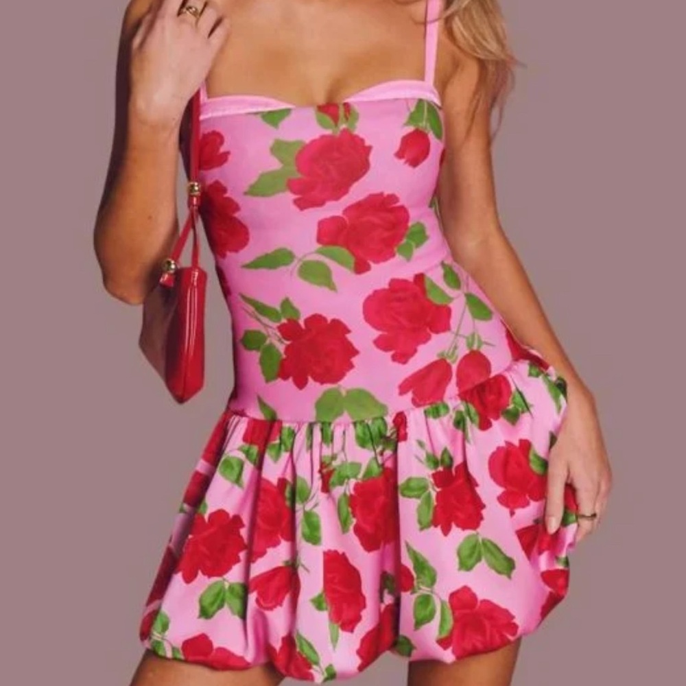 Show Me Your MuMu Pink and Red Floral Dress